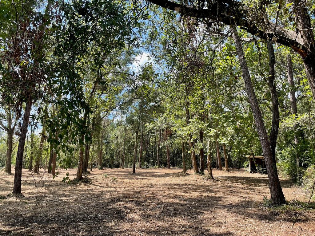 20804 Oakshade Drive, New Caney, TX 77357