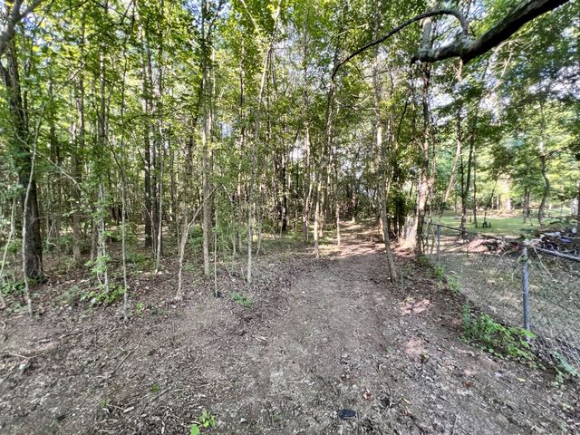 1020 Fall River Rd, Goodspring, TN 38460