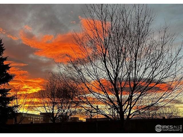 5903 Twin Wash Sq, Fort Collins, CO 80528