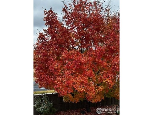 5903 Twin Wash Sq, Fort Collins, CO 80528