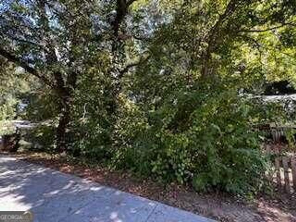 0 Margaret Street, Fairburn, GA 30213 — photo 2