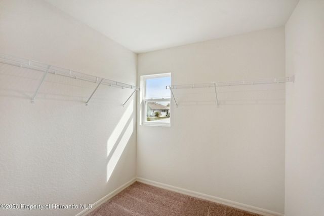 12038 Pembrooke Avenue, Weeki Wachee, FL 34614