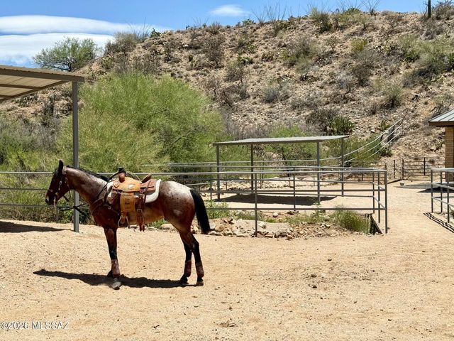 38156 S Santa Monica Trail, Tucson, AZ 85739