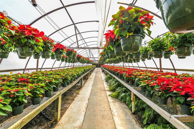 511 W Main Street, Weimar, TX 78962