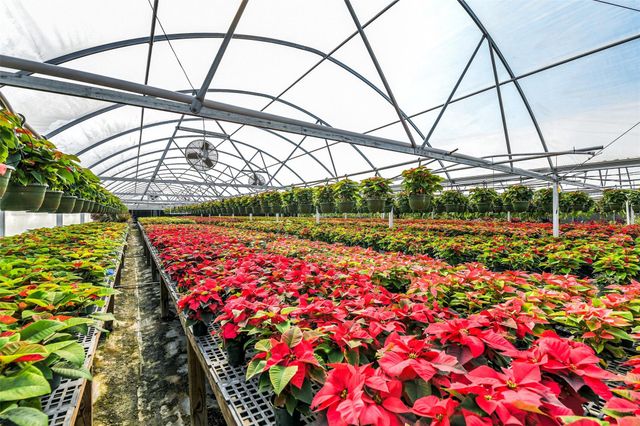 511 W Main Street, Weimar, TX 78962