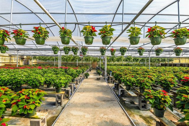 511 W Main Street, Weimar, TX 78962