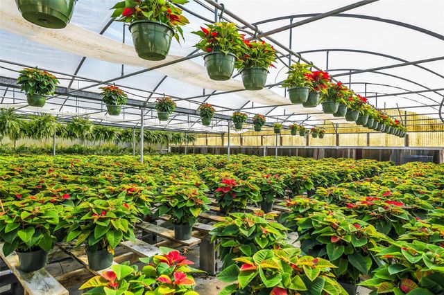 511 W Main Street, Weimar, TX 78962