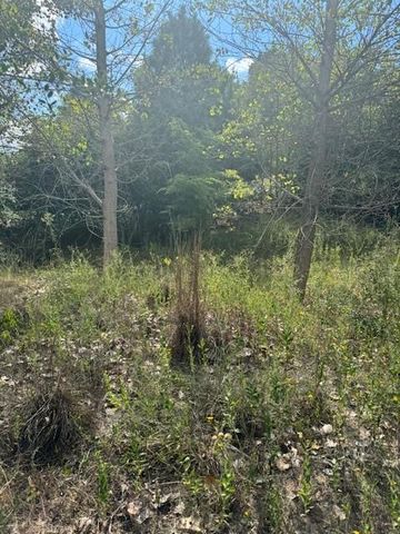 Lot 1338 Tahitian DR, Bastrop, TX 78602