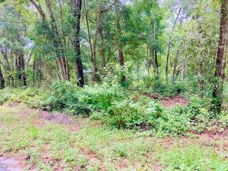 407 RAULERSON ROAD, Seville, FL 32190