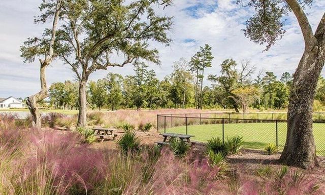 1003 Beaver Sage Way, Summerville, SC 29485