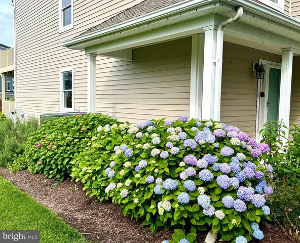 807 AUCKLAND WAY, Chester, MD 21619