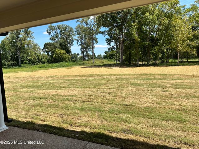 888 Hazelwood Drive, Lake Cormorant, MS 38641