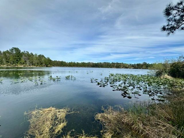 115 Madeira Lane, Brunswick, GA 31523