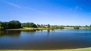 163 Waters View Drive, Pike Road, AL 36064