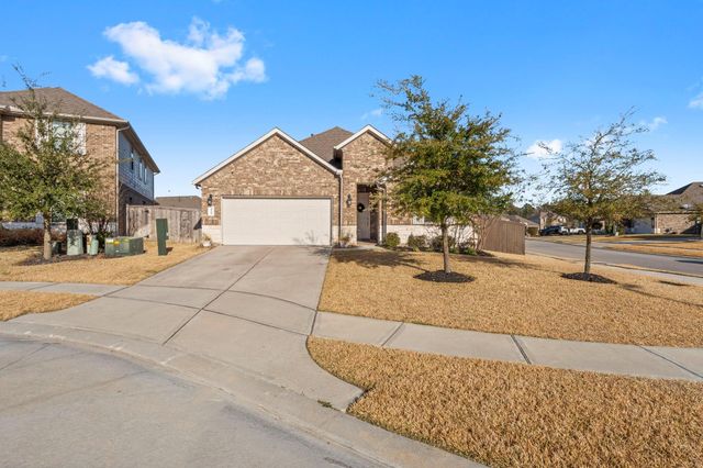 20104 Crystal Falls Court, Montgomery, TX 77316