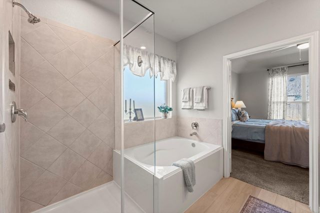 20104 Crystal Falls Court, Montgomery, TX 77316