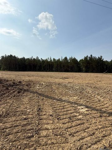 19103 La Hwy 444, Livingston, LA 70754