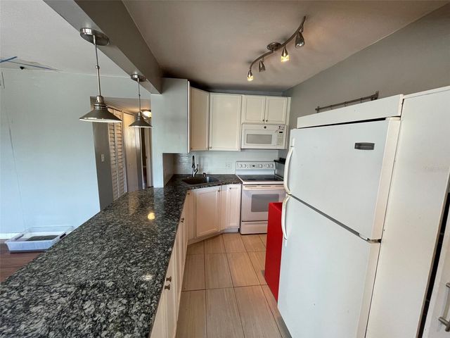 208 NE MONROE CIRCLE N 307, St Petersburg, FL 33702