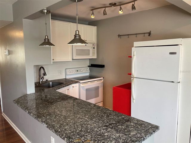 208 NE MONROE CIRCLE N 307, St Petersburg, FL 33702