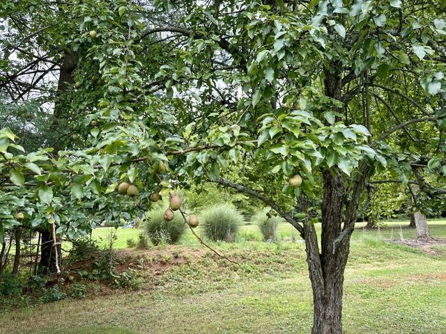 24155 STATE HIGHWAY 27 Highway, Meadville, PA 16335