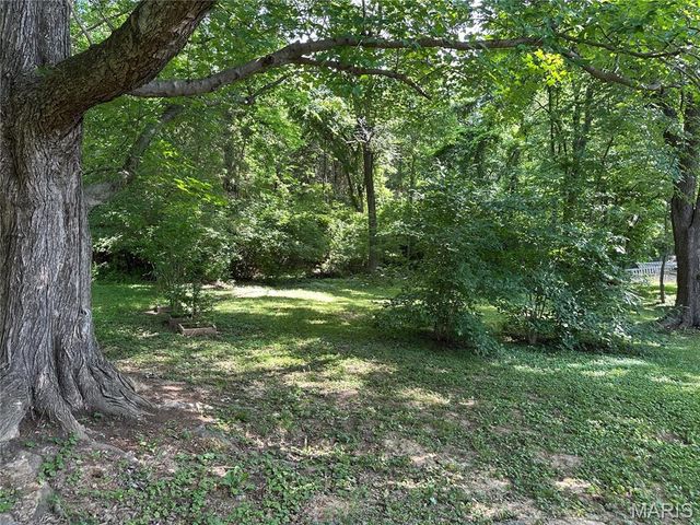 7727 Local Hillsboro Road, Cedar Hill, MO 63016