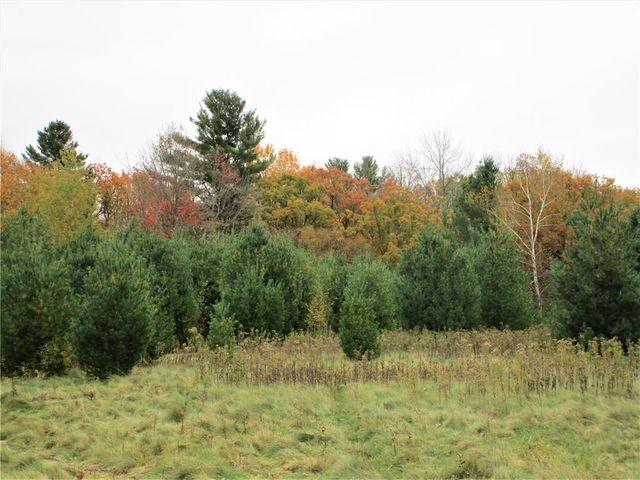 Parcel 2 90th Street, Frederic, WI 54837