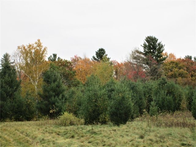 Parcel 2 90th Street, Frederic, WI 54837