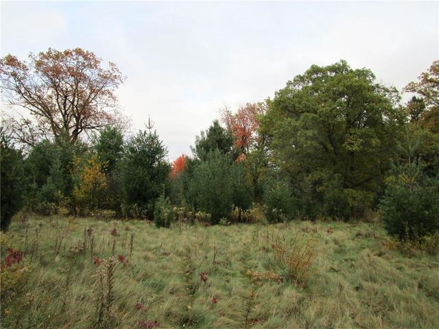 Parcel 2 90th Street, Frederic, WI 54837