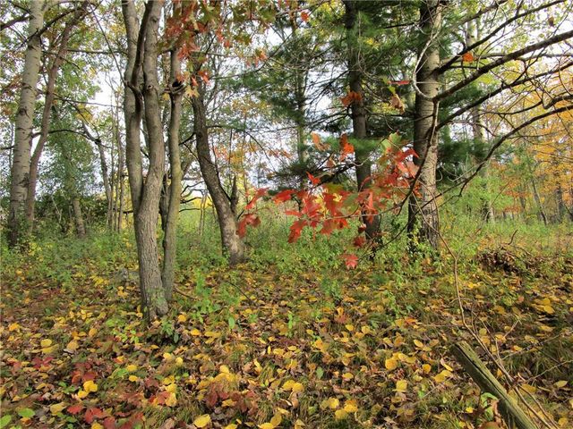 Parcel 2 90th Street, Frederic, WI 54837