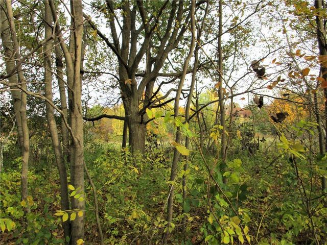 Parcel 2 90th Street, Frederic, WI 54837