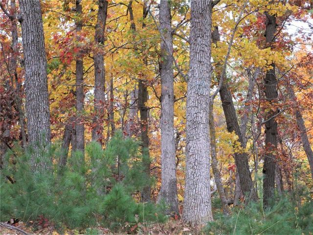 Parcel 2 90th Street, Frederic, WI 54837