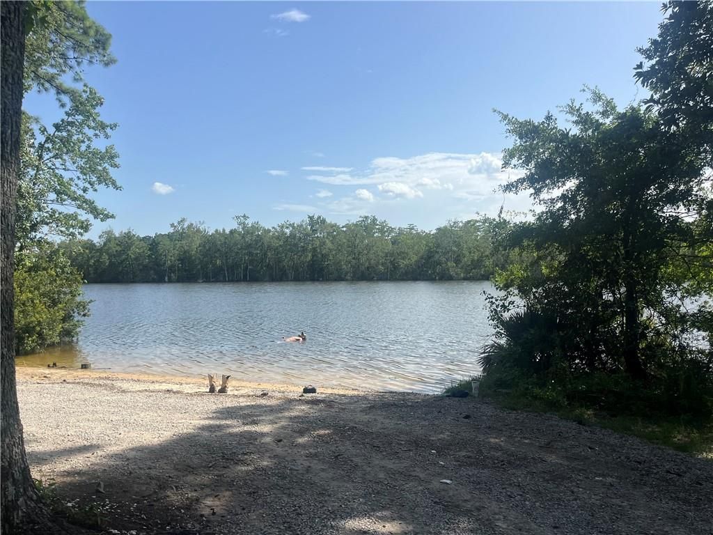0 Riviere Du Chien Road, Mobile, AL 36693 — photo 5