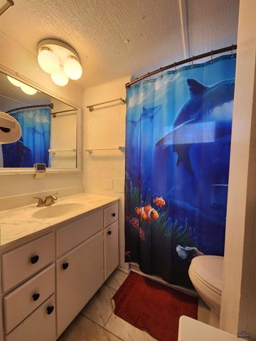 1010 E ST PATRICK, Rapid City, SD 57701