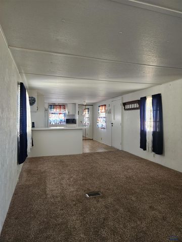 1010 E ST PATRICK, Rapid City, SD 57701