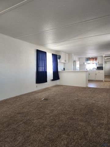 1010 E ST PATRICK, Rapid City, SD 57701