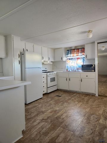 1010 E ST PATRICK, Rapid City, SD 57701