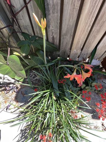 1518 15th Court, Jupiter, FL 33477