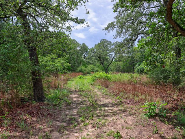1420 CR C, Lexington, TX 78947