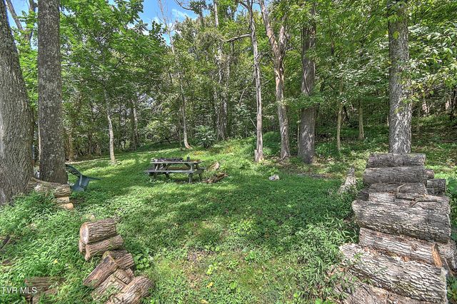 1711 Highway 93, Fall Branch, TN 37656