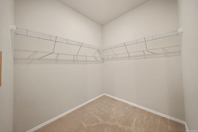 14643 Hackamore, Elmendorf, TX 78112