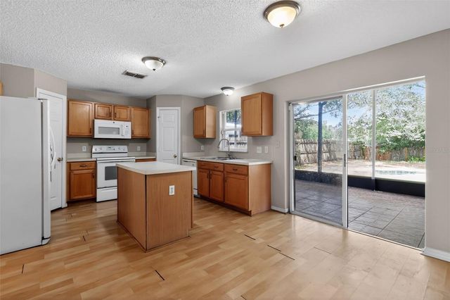 307 PLEASANT GARDENS DRIVE, Apopka, FL 32703