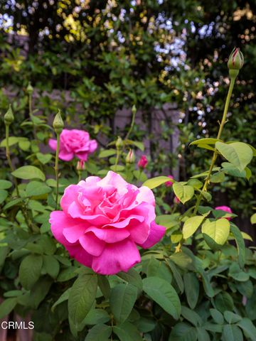 1428 Ontario Avenue, Pasadena, CA 91103