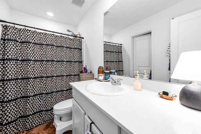 24114 Wandering Brook Drive, Hockley, TX 77447