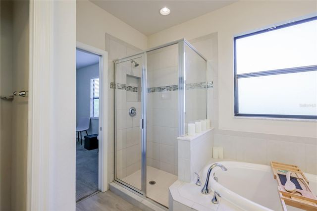 4868 WANDERING WAY, Wesley Chapel, FL 33544