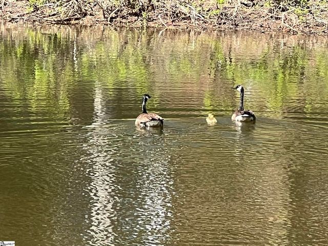 109 Buckingham Road, Easley, SC 29640