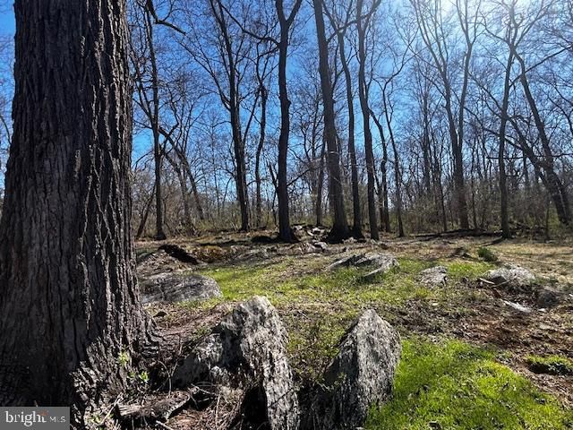 436 SUMMERVILLE RD, Boyce, VA 22620
