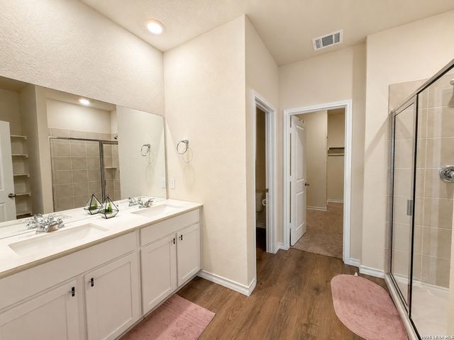 21252 MILLSTREAM BND, San Antonio, TX 78266