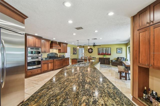 16205 SENTRY WOOD COURT, Odessa, FL 33556