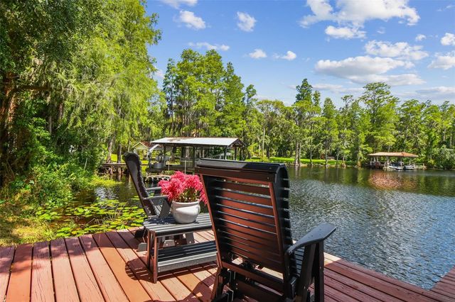 16205 SENTRY WOOD COURT, Odessa, FL 33556