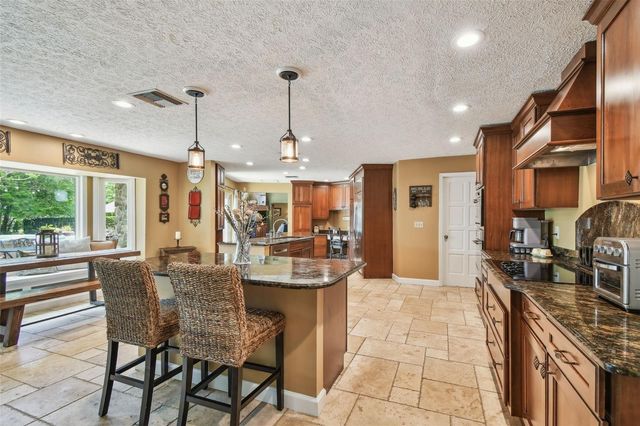 16205 SENTRY WOOD COURT, Odessa, FL 33556